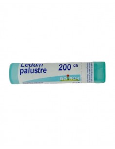 BOIRON LEDUM PALUSTRE 200 CH TUBO GRANULOS 4GR