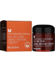 MIZON ALL IN ONE SNAIL REPAIR CREAM 120ML