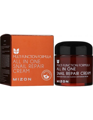 MIZON ALL IN ONE SNAIL REPAIR CREAM 120ML