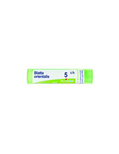 BLATTA ORIENTALIS BOIRON C5 GLOBULOS 1 ENVASE 4 G