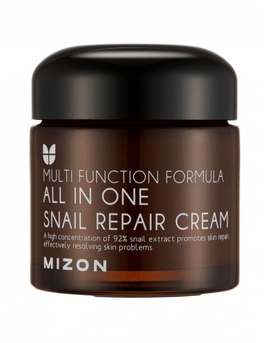 MIZON ALL IN ONE SNAIL REPAIR CREAM 75ML