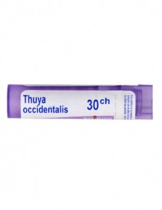 THUYA OCCIDENTALIS BOIRON C30 GLOBULOS 1 ENVASE UNIDOSIS 1 G