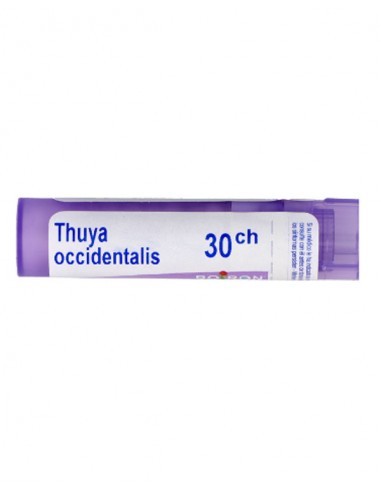 THUYA OCCIDENTALIS BOIRON C30 GLOBULOS 1 ENVASE UNIDOSIS 1 G