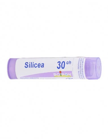 SILICEA BOIRON C30 GLOBULOS 1 ENVASE UNIDOSIS 1 G