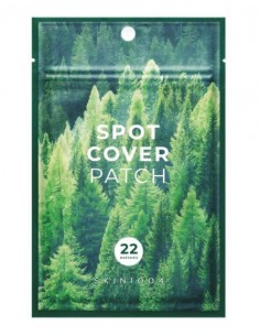 SKIN 1004 SPOT COVER PATCH 22 UNIDADES