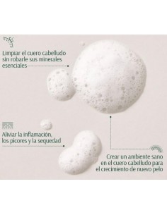 TARA CEBOLLA + PEPTIDOS CHAMPU VOLUMINIZADOR 267ML 2