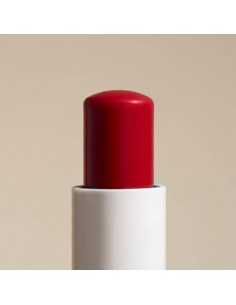 BEAUTERRA STICK LABIAL NUTRITIVO COLOR ROJO 4G 2